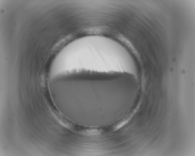 X0000087700161200706011753