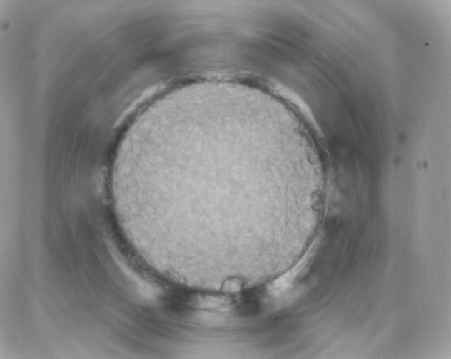 X0000087700162200706011753