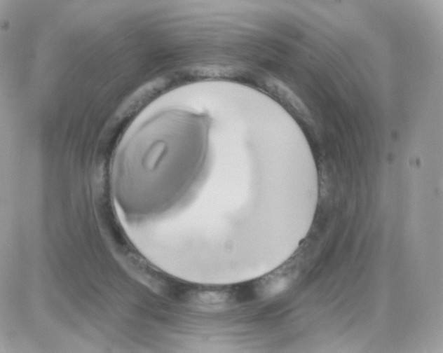 X0000087700163200706011753