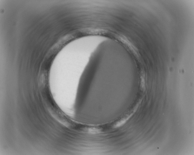 X0000087700165200706011753