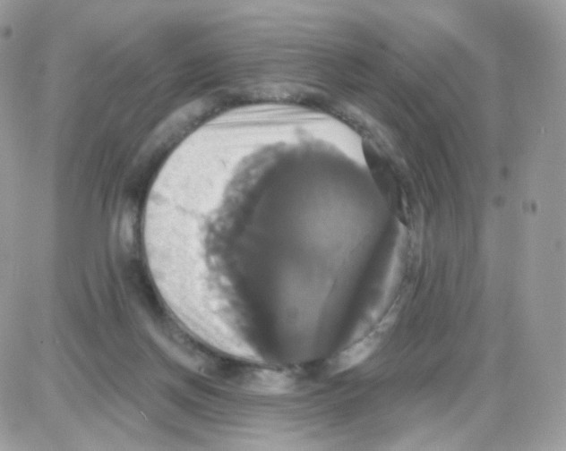 X0000087700166200706011753