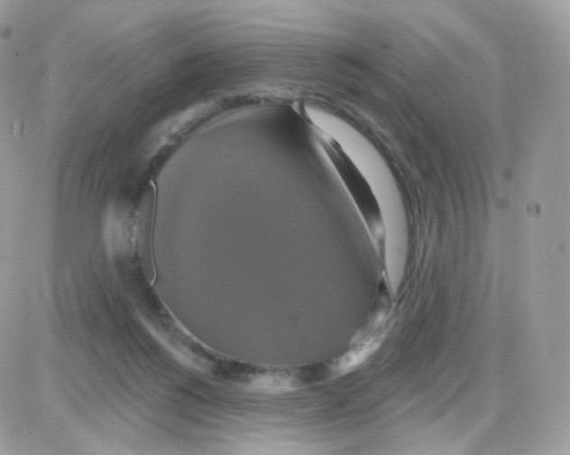 X0000087700168200706011754