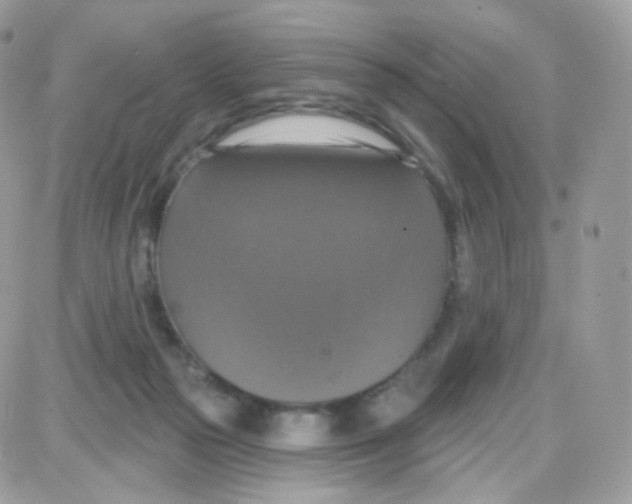 X0000087700169200706011754