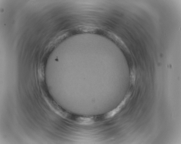 X0000087700170200706011754