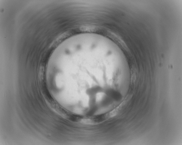 X0000087700171200706011754