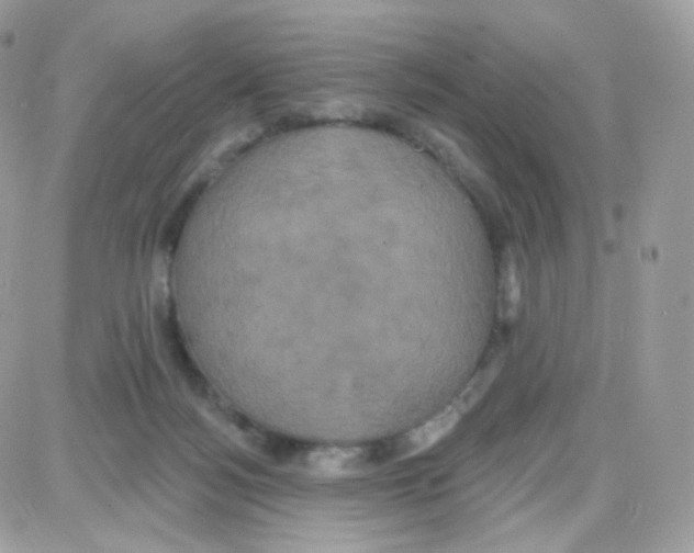 X0000087700172200706011754