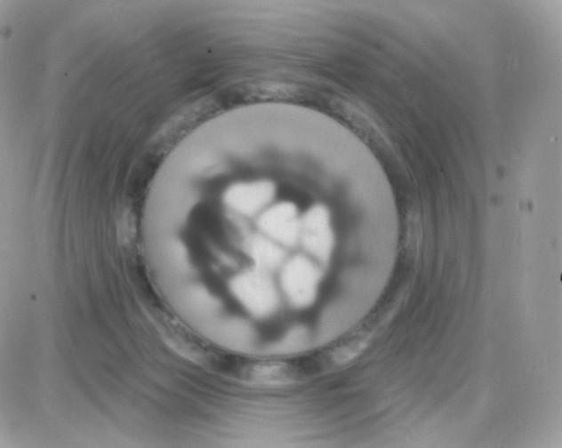 X0000087700173200706011754