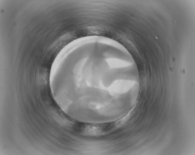 X0000087700174200706011754