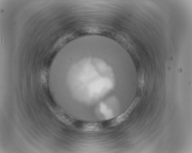 X0000087700175200706011754