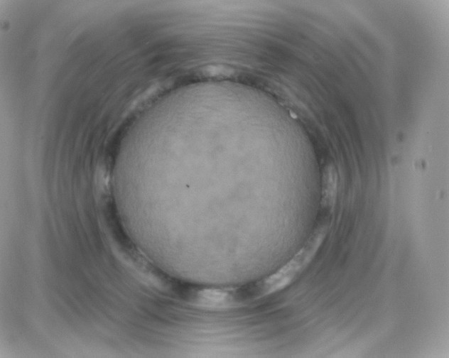 X0000087700176200706011754