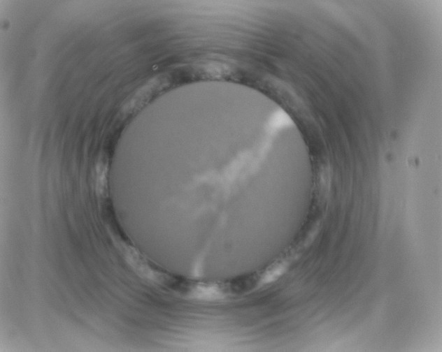 X0000087700177200706011754