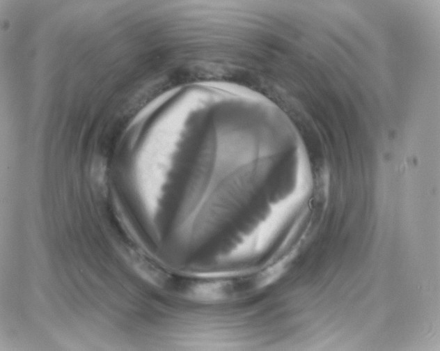 X0000087700178200706011754