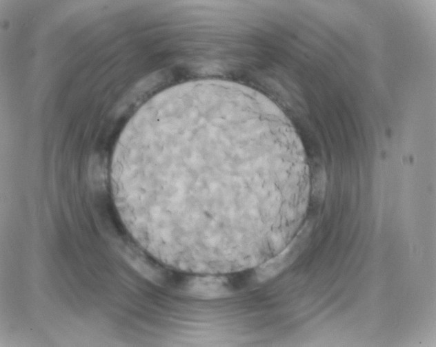 X0000087700179200706011754