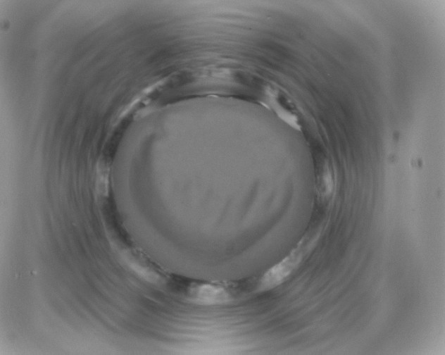 X0000087700180200706011754