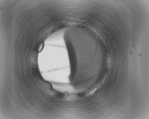 X0000087700181200706011754