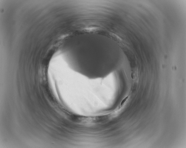 X0000087700182200706011754