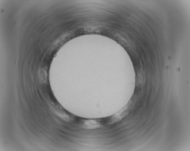 X0000087700183200706011754