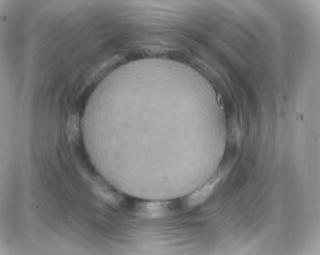 X0000087700184200706011754