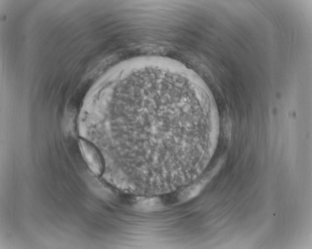 X0000087700185200706011754