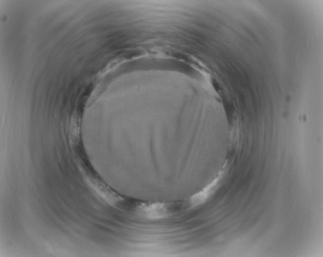 X0000087700186200706011754