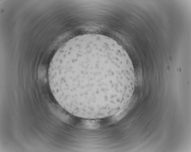 X0000087700187200706011754