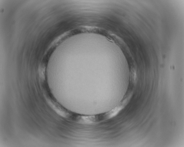 X0000087700188200706011754