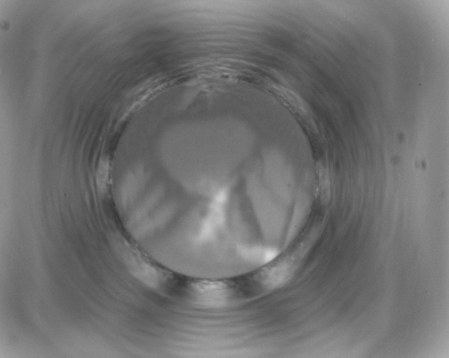 X0000087700189200706011754