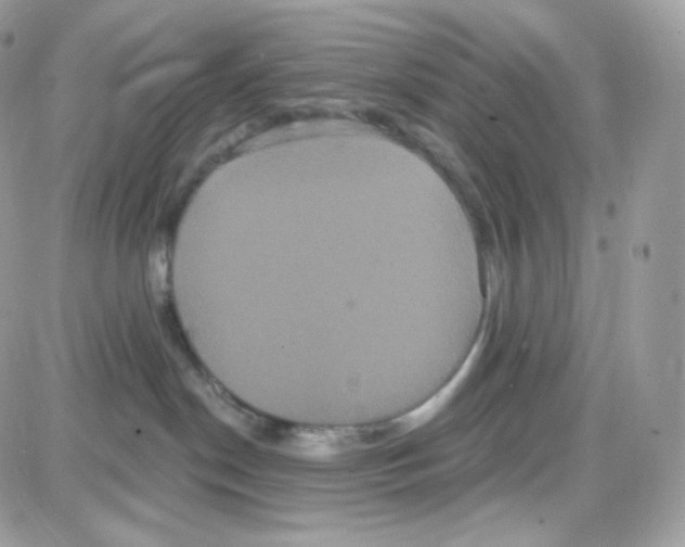 X0000087700190200706011754