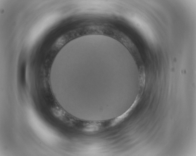 X0000087700191200706011754