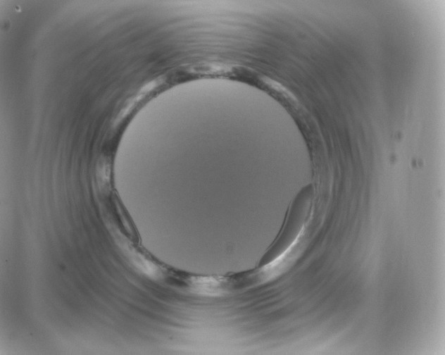 X0000087700192200706011754