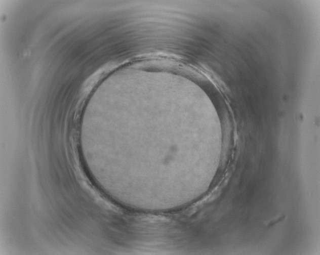 X0000087700193200706011753