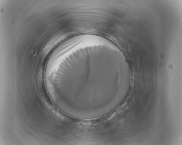 X0000087700194200706011753