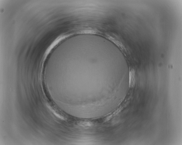 X0000087700195200706011753