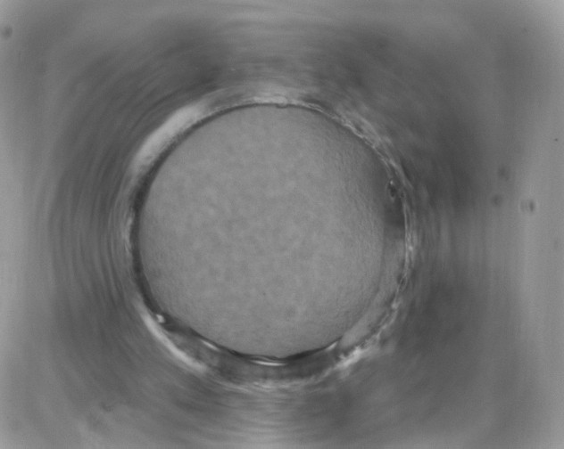 X0000087700197200706011753