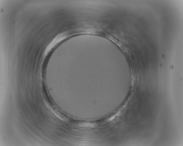 X0000087700198200706011753