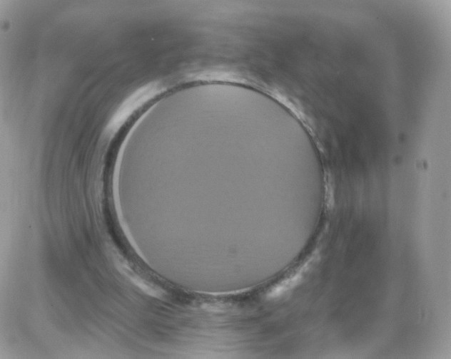 X0000087700199200706011753