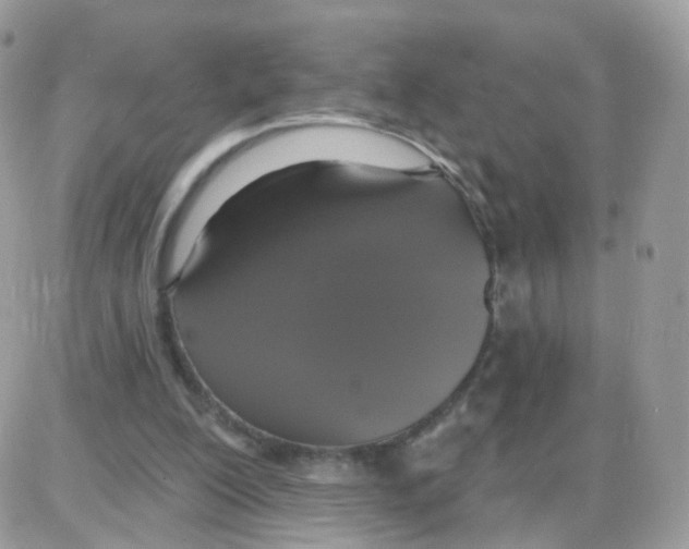 X0000087700200200706011753