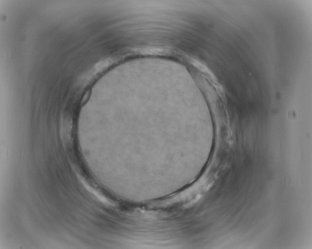 X0000087700201200706011753