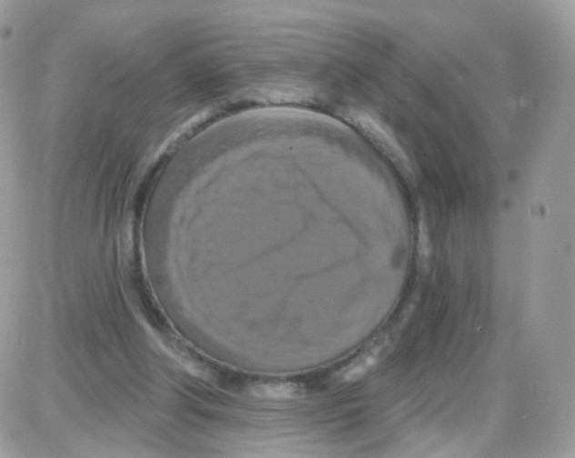 X0000087700202200706011753