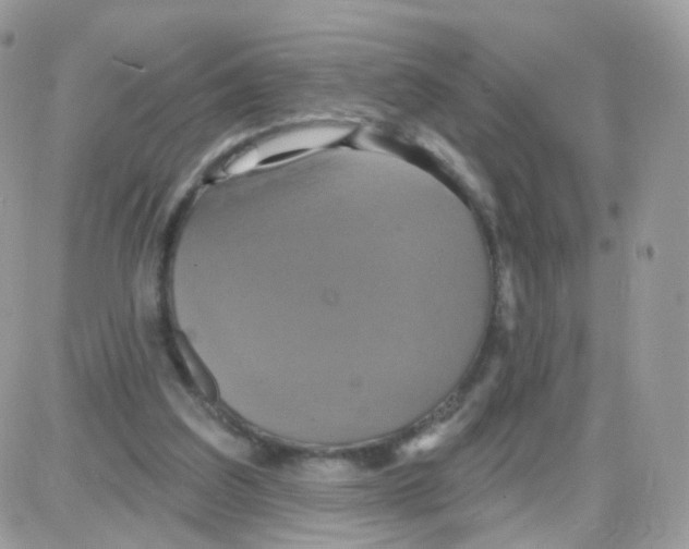 X0000087700203200706011753