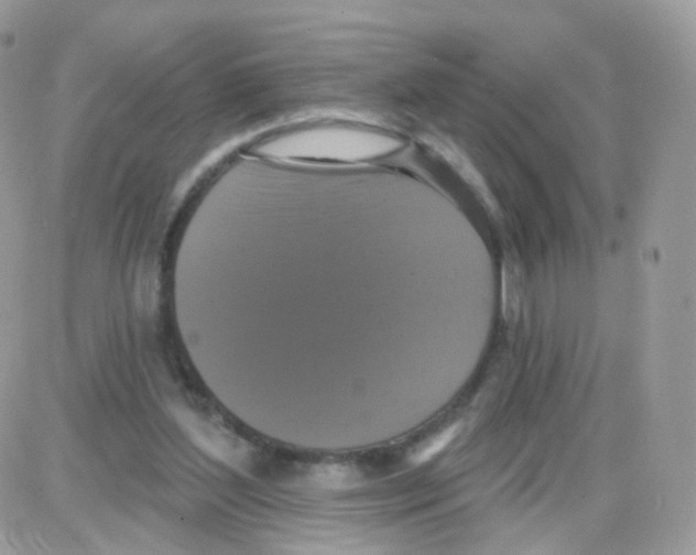 X0000087700204200706011753