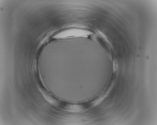 X0000087700205200706011753