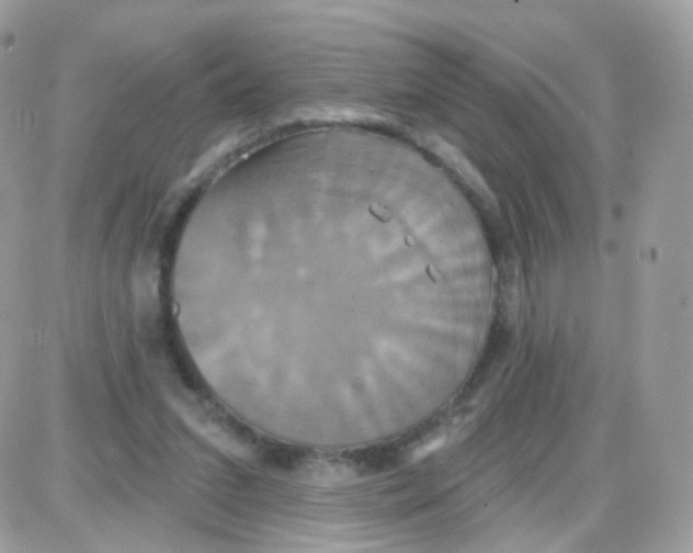 X0000087700207200706011753