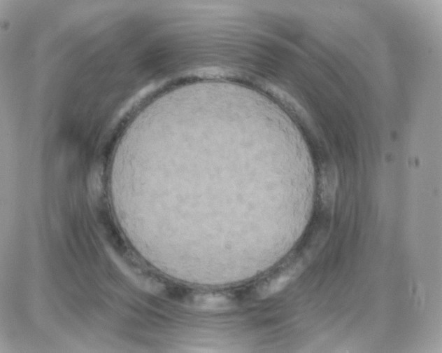 X0000087700208200706011753