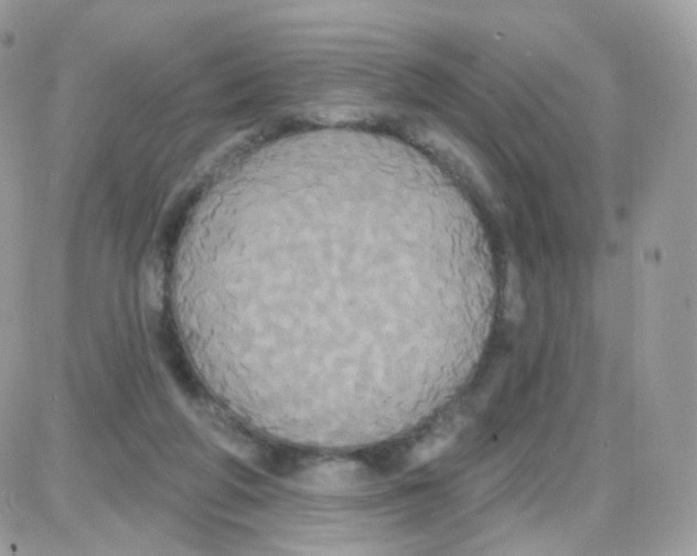 X0000087700210200706011753