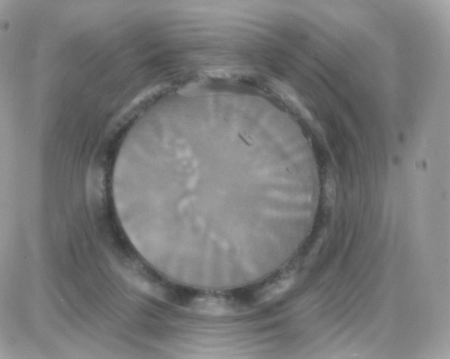 X0000087700211200706011753