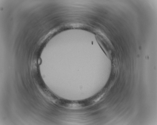 X0000087700212200706011753