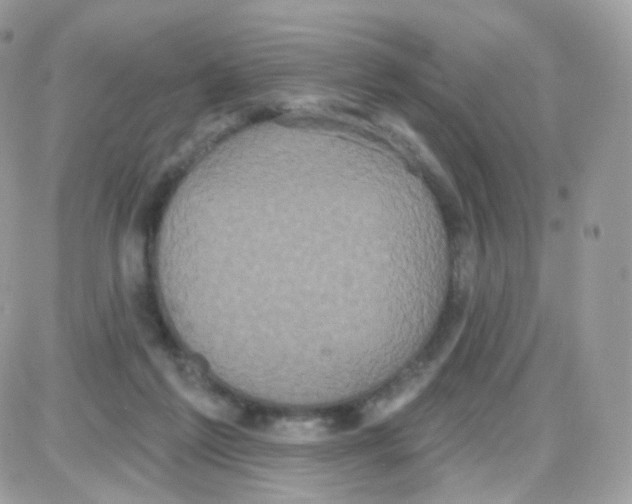 X0000087700213200706011753