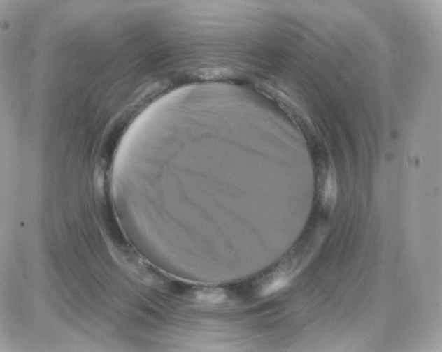 X0000087700214200706011753