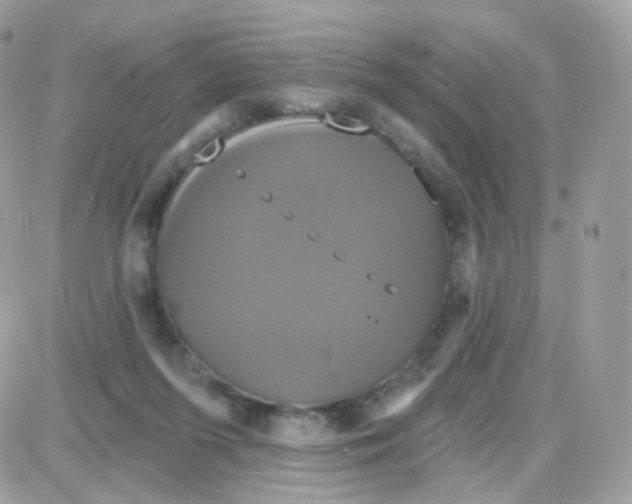 X0000087700215200706011753